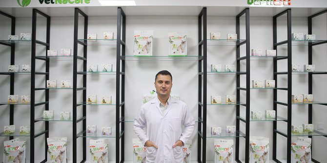 Zeytin çekirdeğinden kedi kumu üretildi