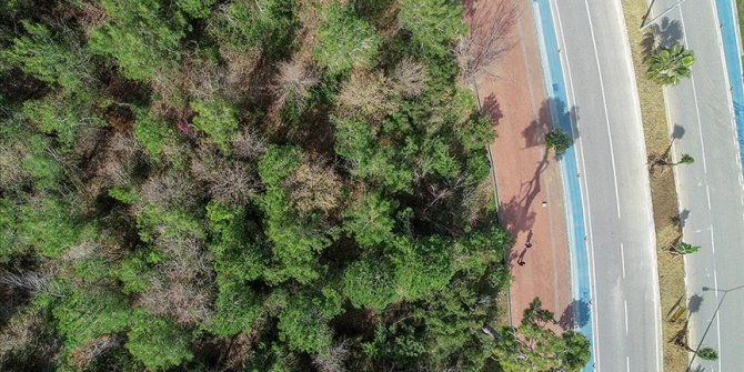 Antalya'da ormanlara giriş yasağı 30 Eylül'e kadar uzatıldı