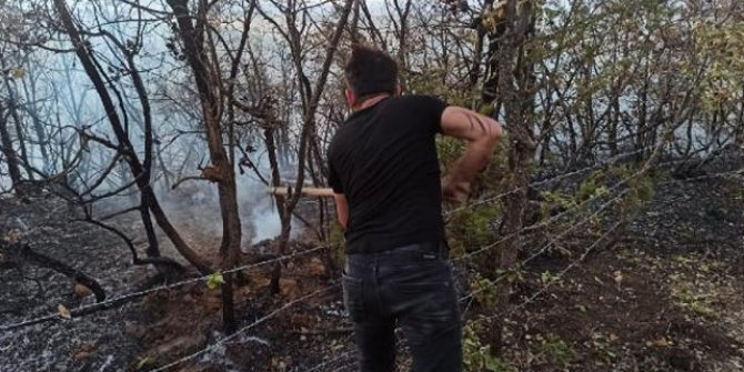 Bingöl’deki orman yangını söndürüldü