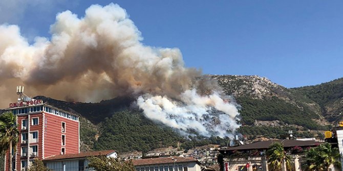 Hatay'da orman yangını