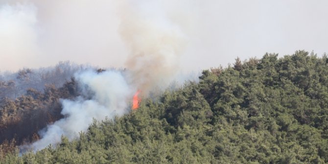 İzmir'de orman yangını başladı