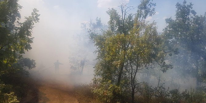 Manisa'da orman yangını 