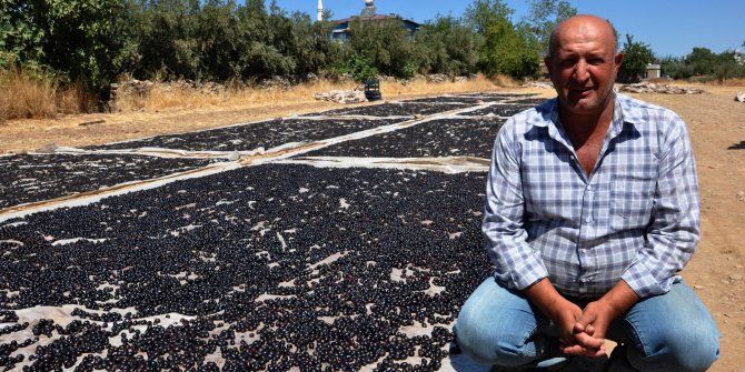 Gaziantep'te kurutmalık üzüm zamanı