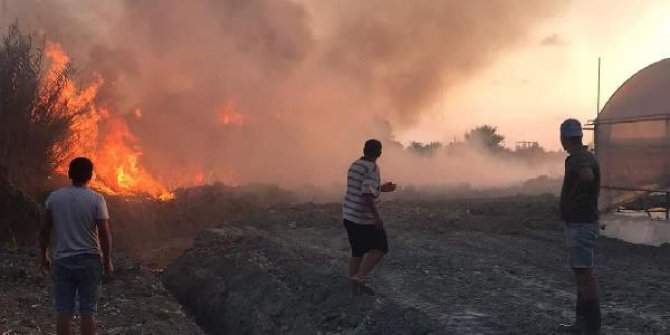 Hatay'da sazlık alanda çıkan yangın korkuttu