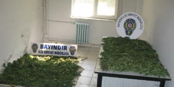 Bayındır'da 10 kilo Hint keneviri ele geçirildi; 1 gözaltı