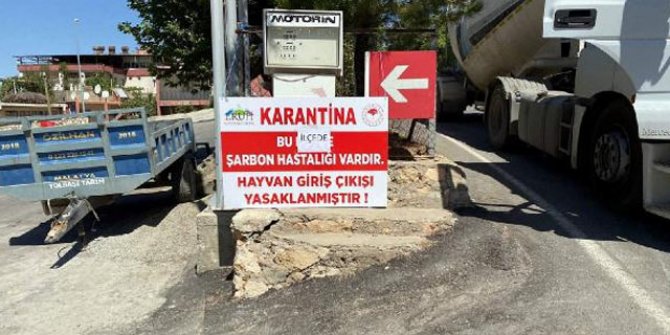 Eruh'ta bir hayvanda şarbon görüldü, ilçeye hayvan giriş ve çıkışı yasaklandı