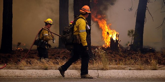 California'da orman yangını otoyola sıçradı