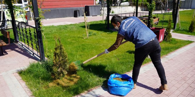 Hanelerden alınıyor doğal gübreye dönüşüyor