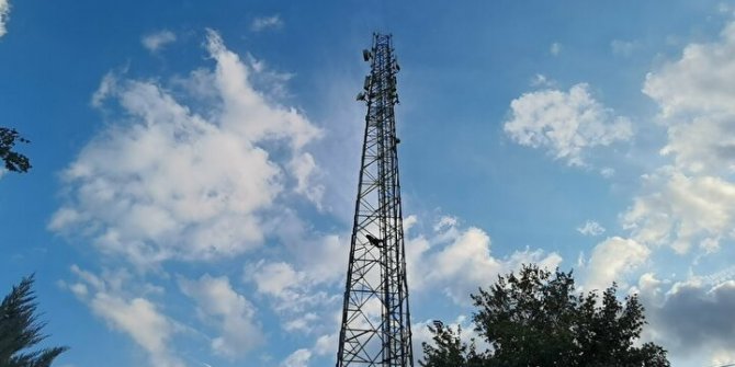 Görenler şaşkına döndü: Alkolün etkisiyle çıktığı direkte uyudu