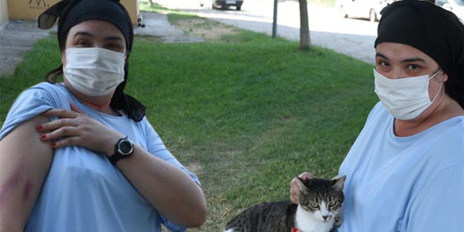 Sitede 'kayıp kedi' iddiası, tarafları mahkemelik etti