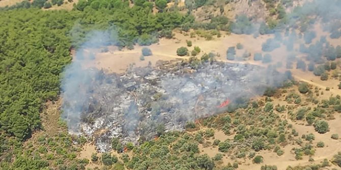 İzmir'de orman yangını