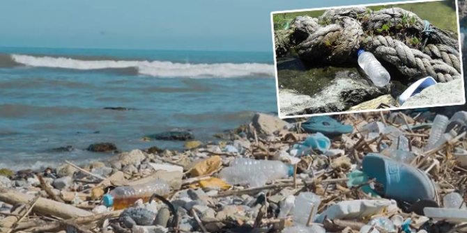 Karadeniz'de kirlilik; 500 metrekarede 2 bin 500 atık çıktı