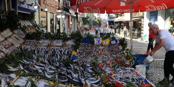 Hamsi ve istavrit bolluğu balıkçı tezgahlarını şenlendiriyor