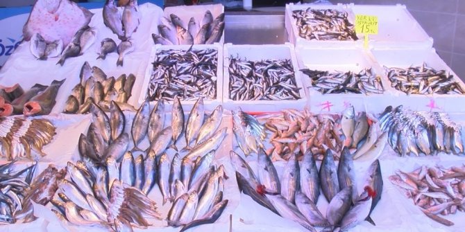 Karadeniz’de hamsi gözüktü