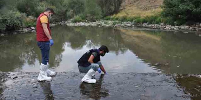 Kars Çayı'nda balık ölümlerinin nedeni; oksijen yetersizliği