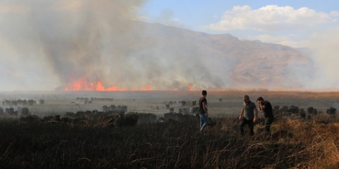 Yüksekova'daki kuş cennetinde sazlık yangını 
