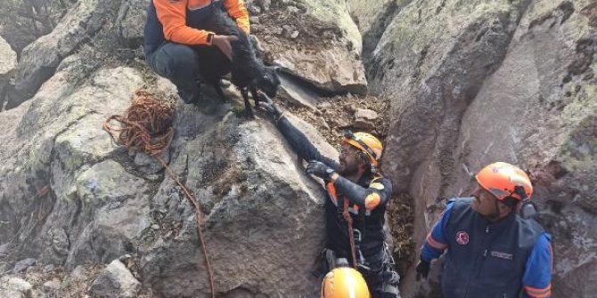 Mahsur kalan oğlağı AFAD ekipleri kurtardı