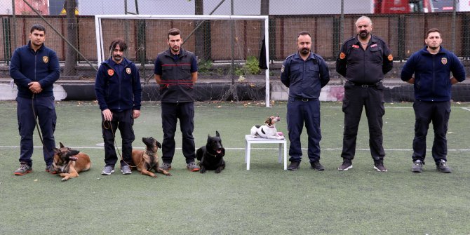 Ankara'nın en küçük arama kurtarma köpeği 'Leon'