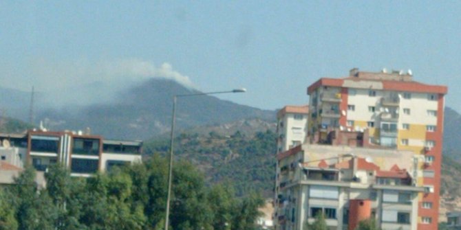 İzmir'de orman yangını