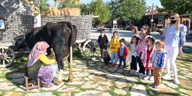 Altındağ'lı çocuklar süt sağdı