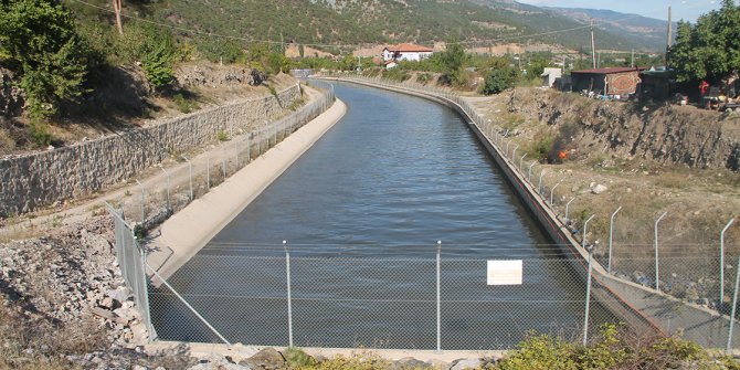 Yeşilırmak'ta balık ölümleri görüldü