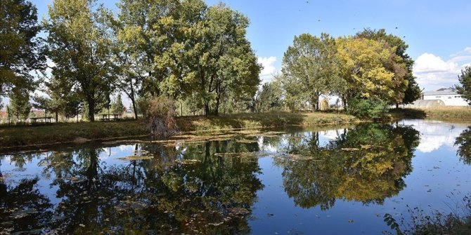 Atatürk Üniversitesi organik alabalık yetiştiricilerine öncü olacak