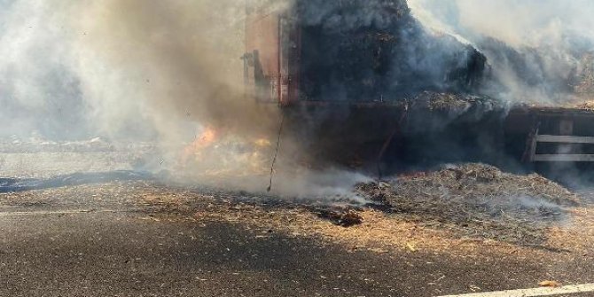 Seyir halindeki TIR'ın dorsesinde çıkan yangın ağaçlık alana sıçradı