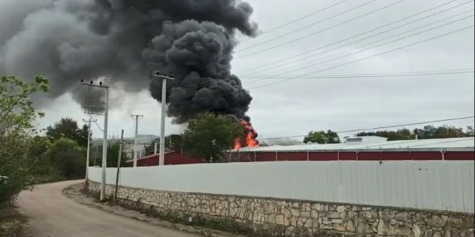 Kocaeli’de yağ fabrikasında korkutan yangın