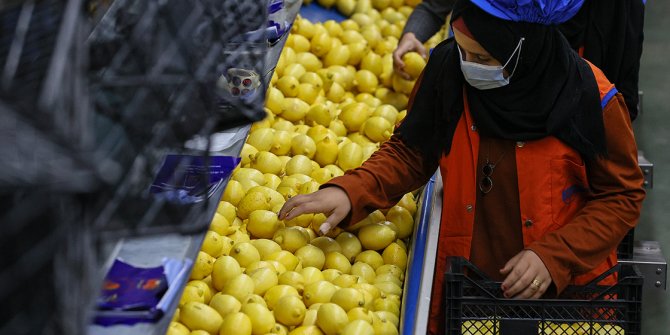 Limon ihracatında hedef 300 milyon dolar