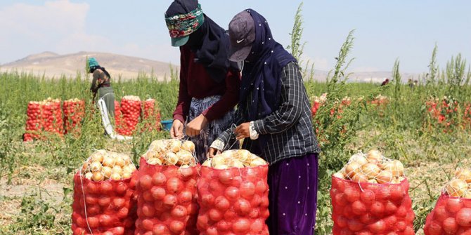 Tarım Sektörünün Görünmez Kahramanları