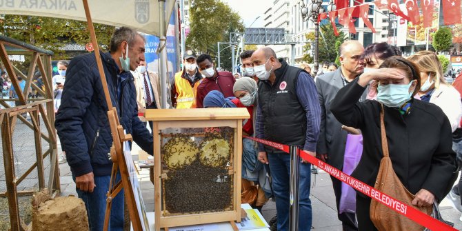 Ankara Büyükşehir'den Farkındalık Etkinliği