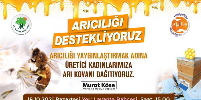 Arı Kovanı Dağıtılacak