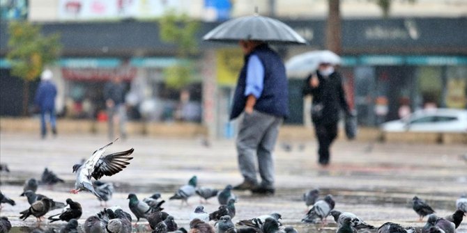 Doğu Karadeniz'in kıyı kesiminde çok kuvvetli gök gürültülü sağanak bekleniyor