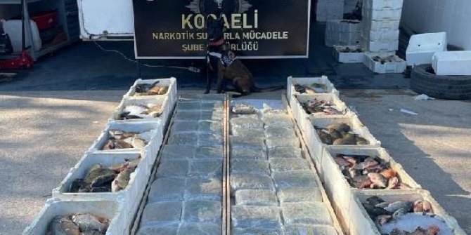 Balık yüklü kamyonetin tabanında 53 kilo 'skunk' ele geçirildi