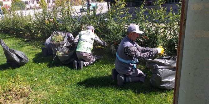 Sincan'da Sonbahar Renkleri