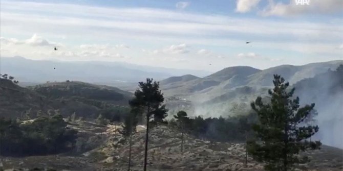 Balıkesir'in Edremit ilçesinde çıkan orman yangınına müdahale ediliyor