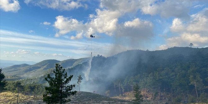Balıkesir'in Edremit ilçesinde çıkan orman yangınına müdahale ediliyor