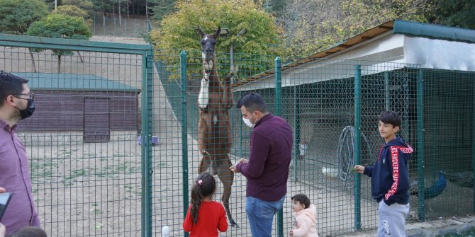 Çocukların Vazgeçilmezi Doğal Yaşam Parkı