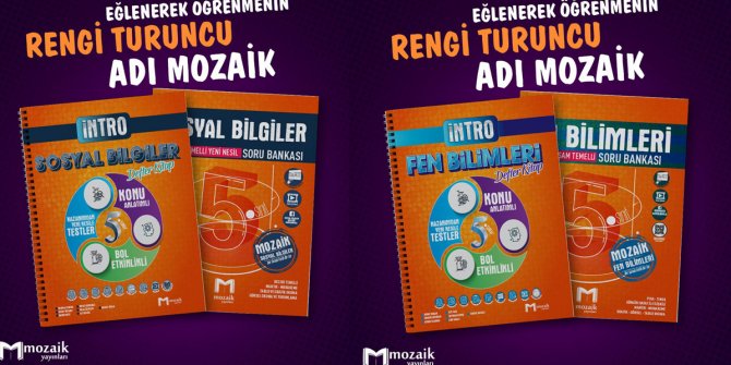 Kurumsal denemede lider kitapçı: Mozaik Yayınları