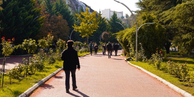 Botanik Sonbaharı Selamlıyor