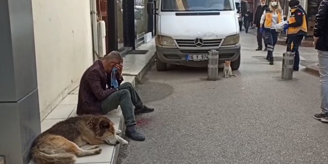 Dengesini kaybedip düştüğü kaldırıma başını çarptı, köpeği yanından ayrılmadı