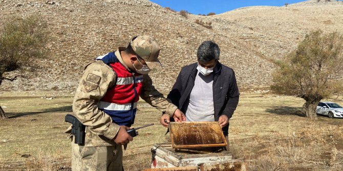 Bitlis'te küçükbaş ve arı kovanı çalan 4 şüpheli yakalandı