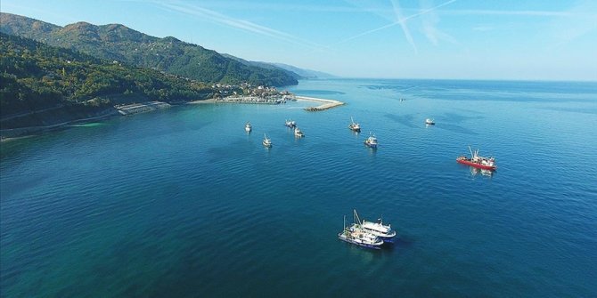 Palamuttan umduğunu bulamayan balıkçılar hamsiyle güldü