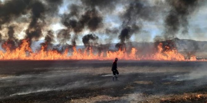 Birçok kuş türünün yaşadığı Nehil Sazlığında çıkan yangın korkuttu