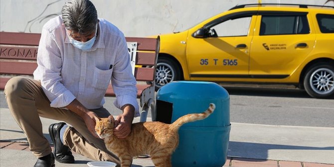 İzmirli taksici 'mama kutusu'nda biriken parayla sokak kedilerine bakıyor