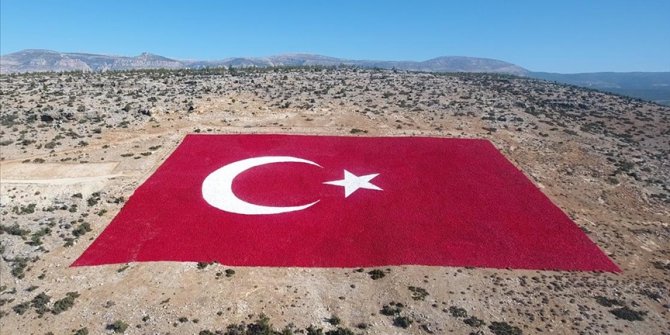 Mersin'de 22 dönümlük araziye işlenen Türk bayrağı 10 kişiyle 40 günde boyandı