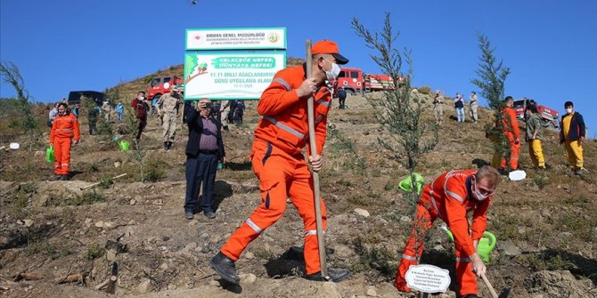 Hatay'da yangından zarar gören orman alanlarına 2 milyon fidan dikilecek