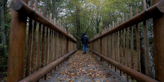 İğneada Longoz Ormanı'ndaki dereler ahşap köprüler ile aşılacak