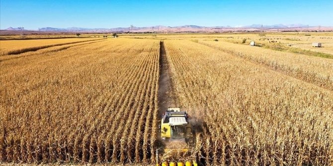 Tarımsal girdi fiyat endeksi eylülde yıllık yüzde 27,79, aylık yüzde 1,56 arttı