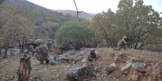 Bitlis'te Eren Kış-7 Şehit Jandarma Teğmen Baki Koçak Operasyonu başlatıldı